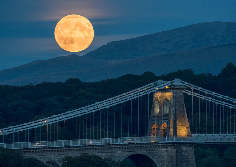 Illustration for article titled Here Are the Best Images of Last Night's Supermoon Eclipse